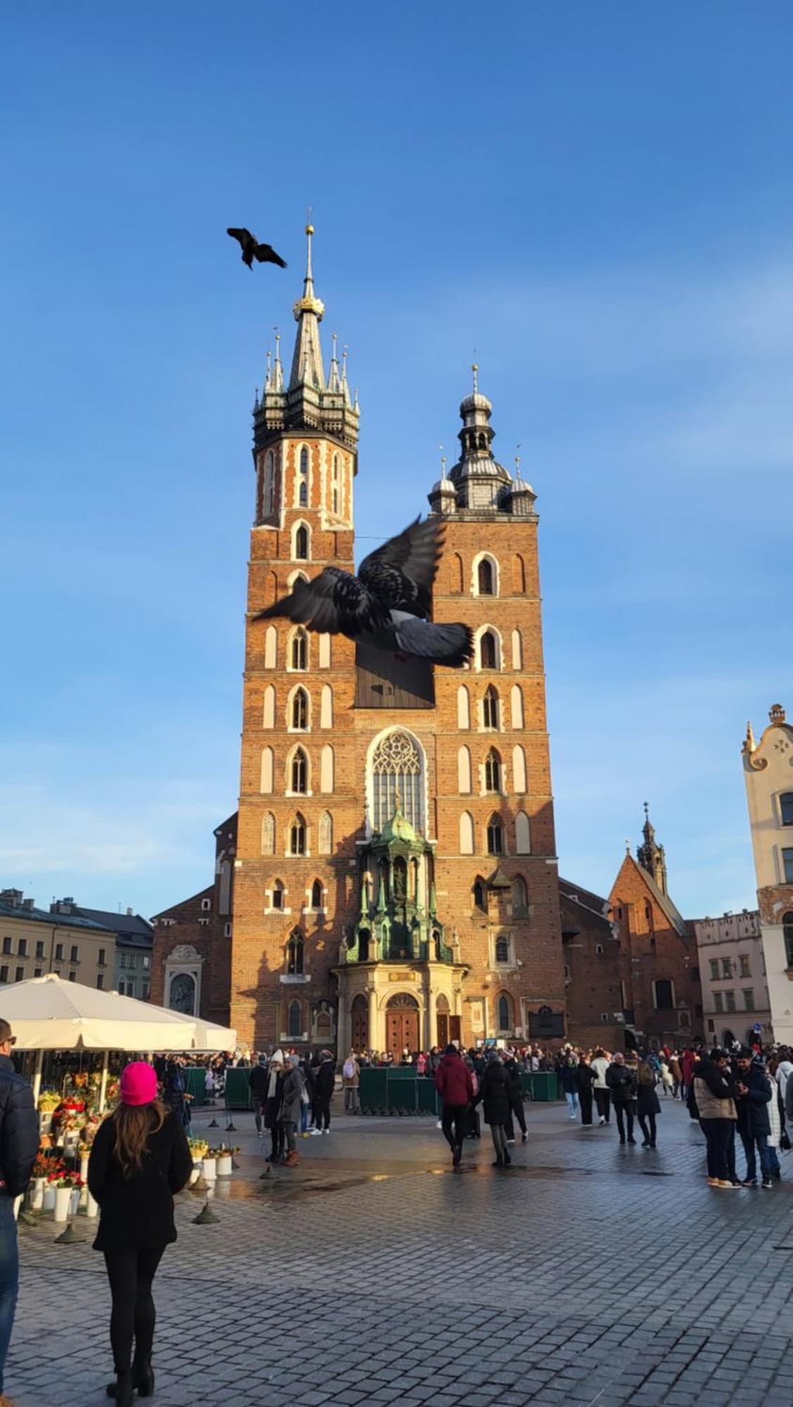 Ap4You Tauron Cracow Kraków Exteriör bild